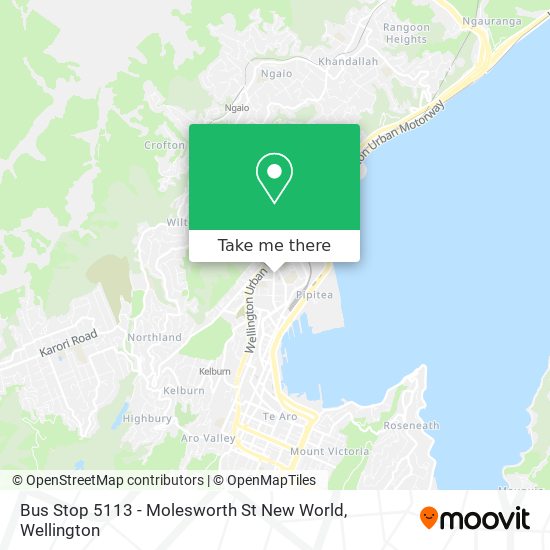 Bus Stop 5113 - Molesworth St New World map