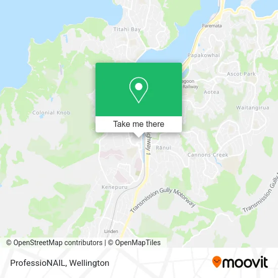 ProfessioNAIL map