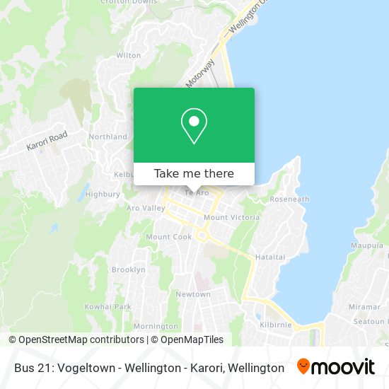 Bus 21: Vogeltown - Wellington - Karori地图
