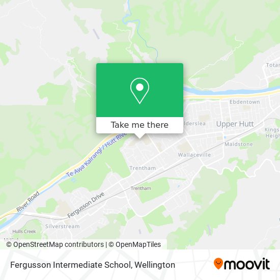 Fergusson Intermediate School map