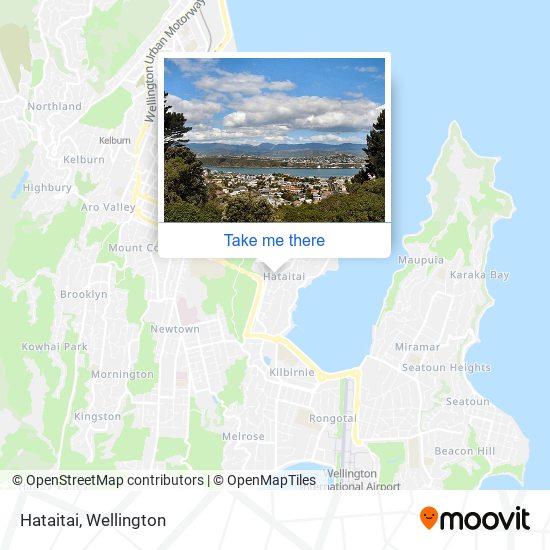 Hataitai map