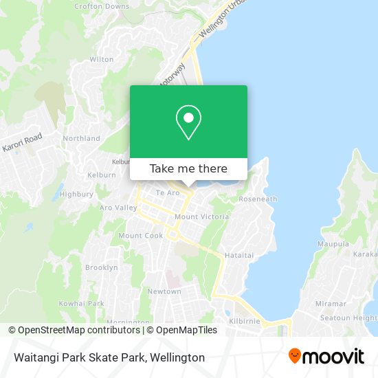 Waitangi Park Skate Park map