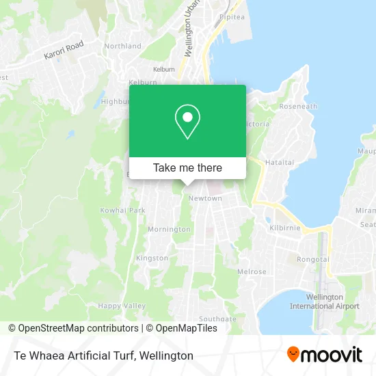 Te Whaea Artificial Turf map