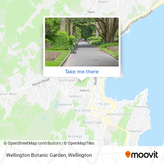 Wellington Botanic Garden Map How To Get To Wellington Botanic Garden In Kelburn By Bus, Train Or Cable  Car?