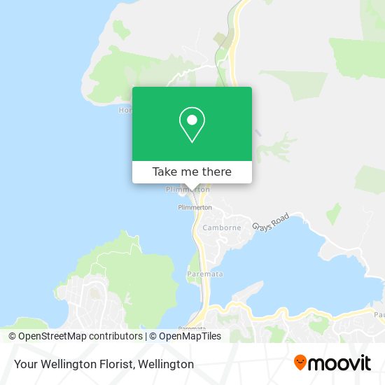 Your Wellington Florist map