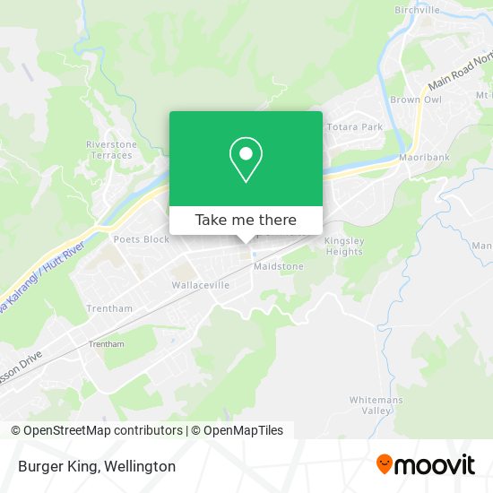 Burger King map