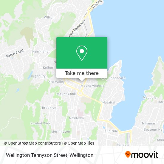 Wellington Tennyson Street map