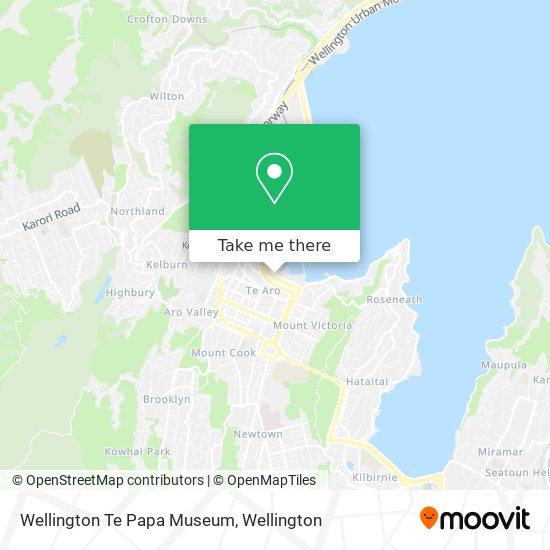 Wellington Te Papa Museum map