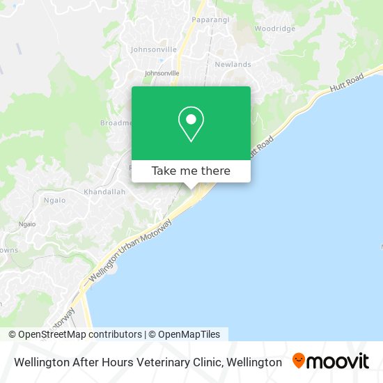 Wellington After Hours Veterinary Clinic map