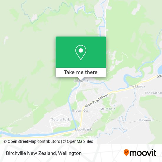 Birchville New Zealand map