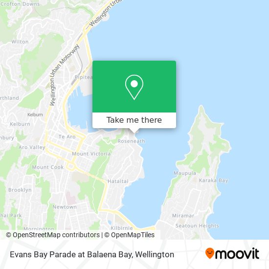 Evans Bay Parade at Balaena Bay map