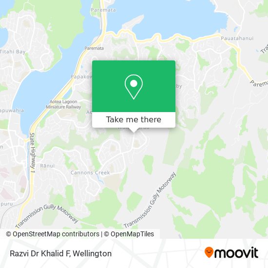 Razvi Dr Khalid F map