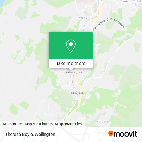 Theresa Boyle map