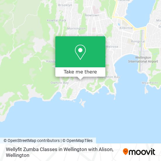 Wellyfit Zumba Classes in Wellington with Alison地图