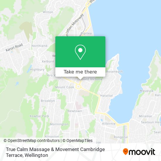 True Calm Massage & Movement Cambridge Terrace map