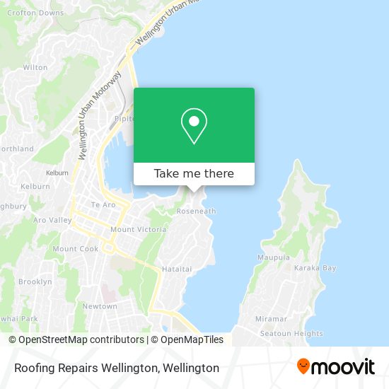 Roofing Repairs Wellington map