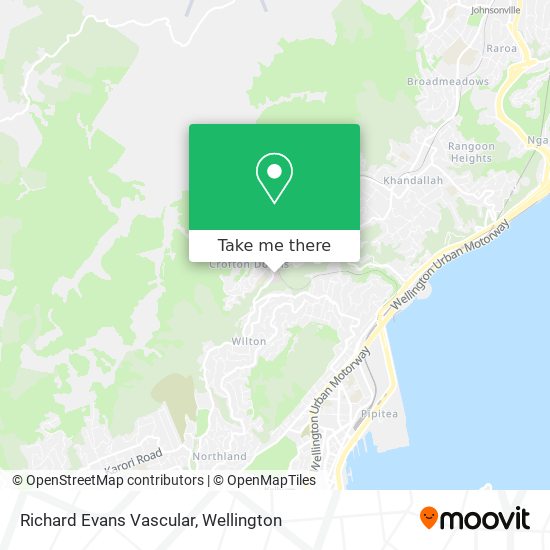 Richard Evans Vascular map