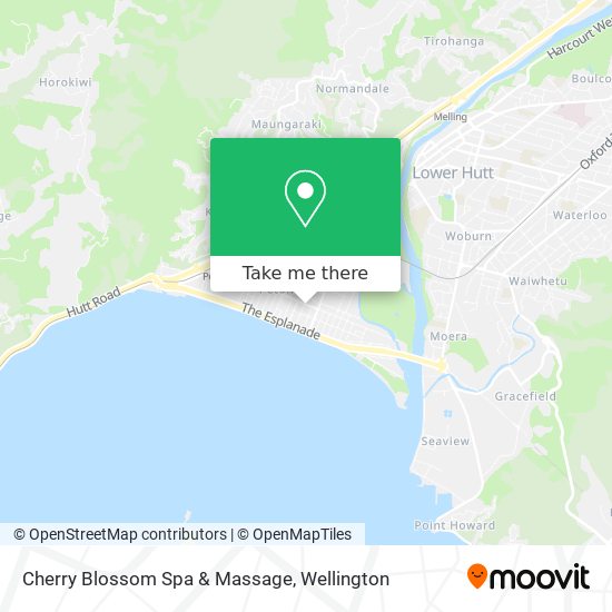 Cherry Blossom Spa & Massage地图