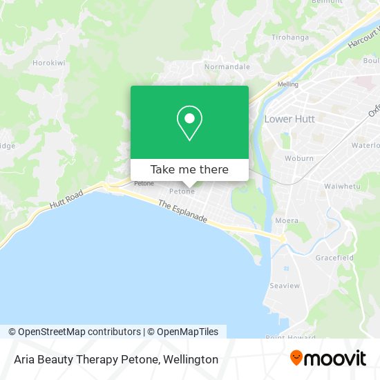 Aria Beauty Therapy Petone map