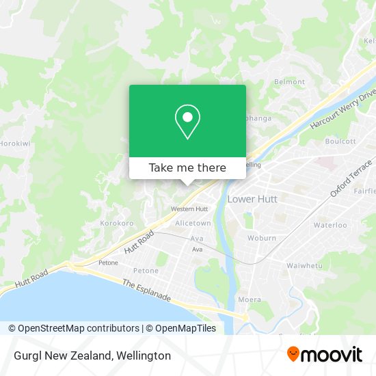 Gurgl New Zealand map