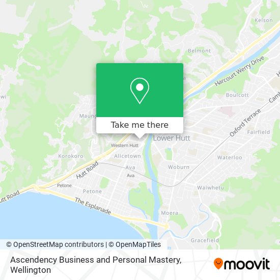 Ascendency Business and Personal Mastery map