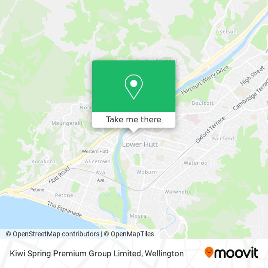 Kiwi Spring Premium Group Limited map
