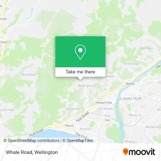 Whale Road map