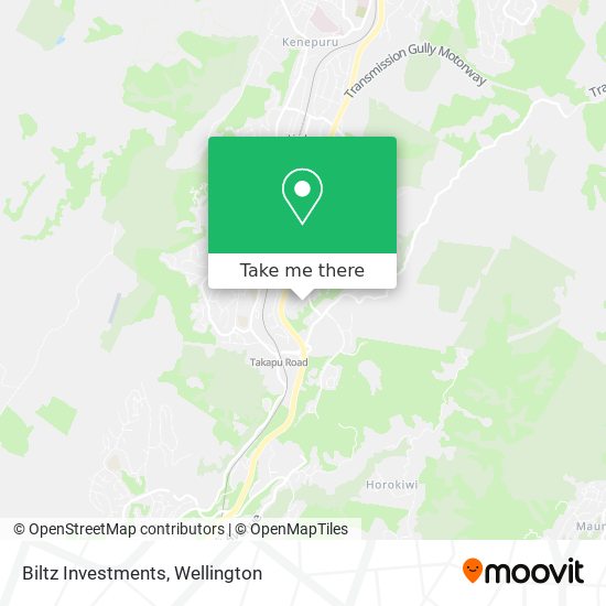 Biltz Investments map