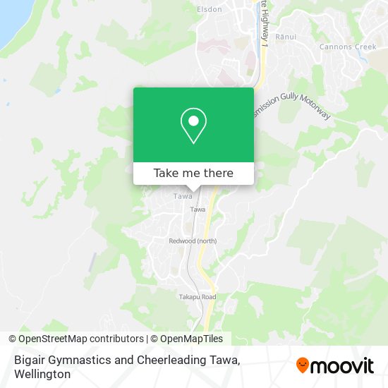 Bigair Gymnastics and Cheerleading Tawa map