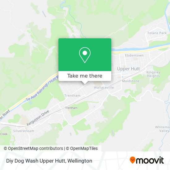 Diy Dog Wash Upper Hutt map