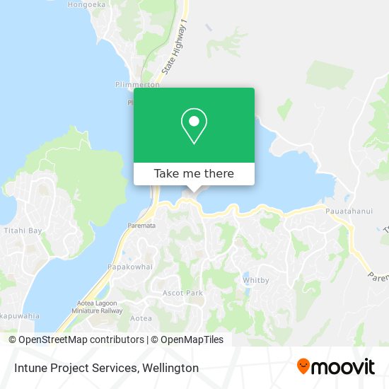 Intune Project Services map