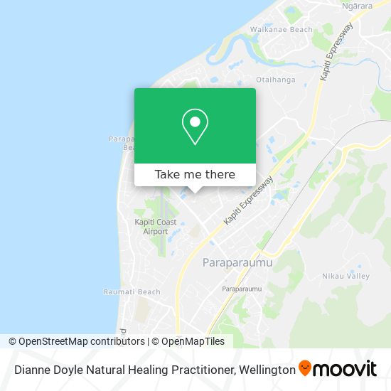 Dianne Doyle Natural Healing Practitioner map