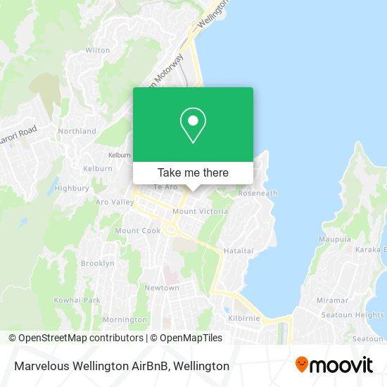 Marvelous Wellington AirBnB地图