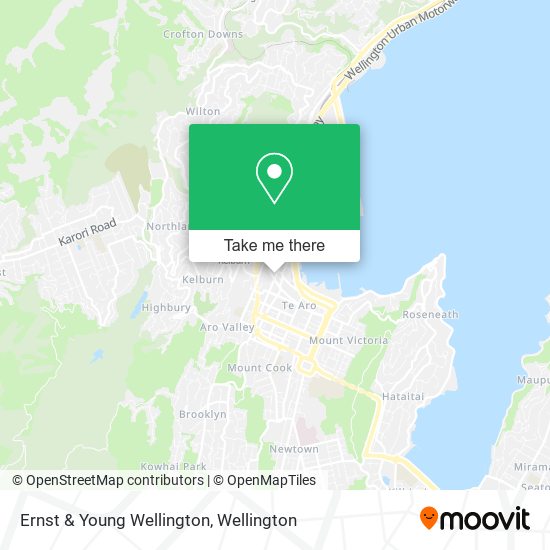 Ernst & Young Wellington map