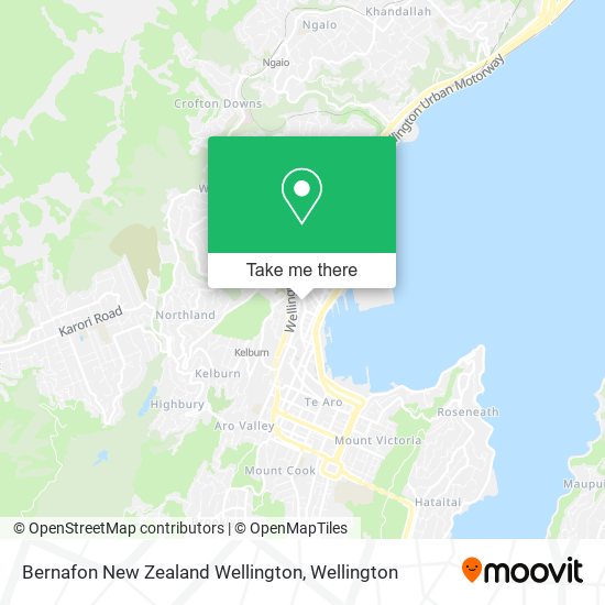 Bernafon New Zealand Wellington地图