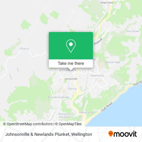 Johnsonville & Newlands Plunket地图