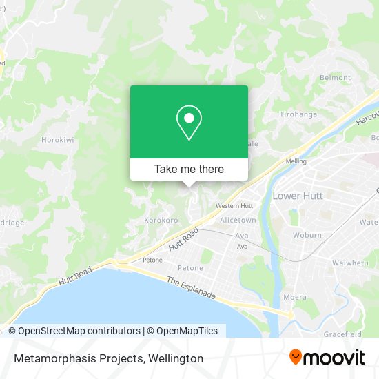 Metamorphasis Projects map