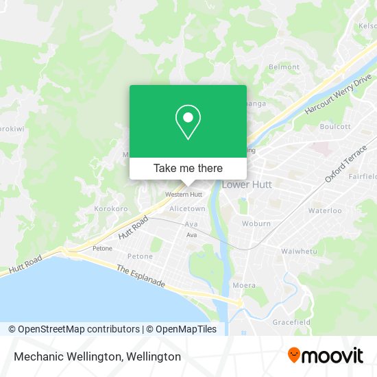 Mechanic Wellington地图