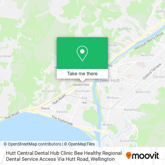 Hutt Central Dental Hub Clinic Bee Healthy Regional Dental Service Access Via Hutt Road map