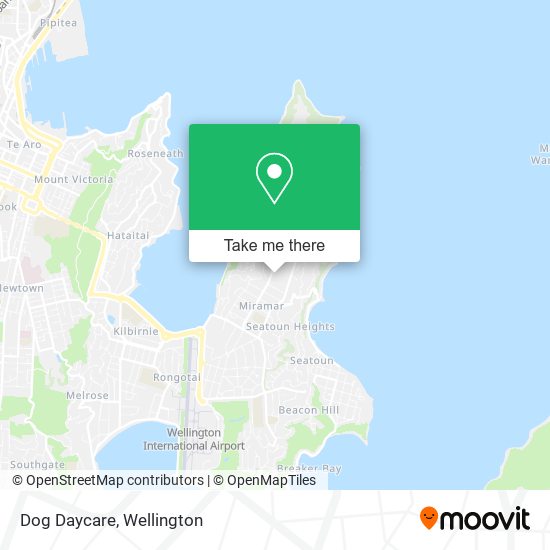 Dog Daycare map