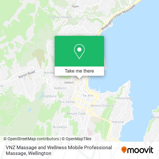 VNZ Massage and Wellness Mobile Professional Massage map