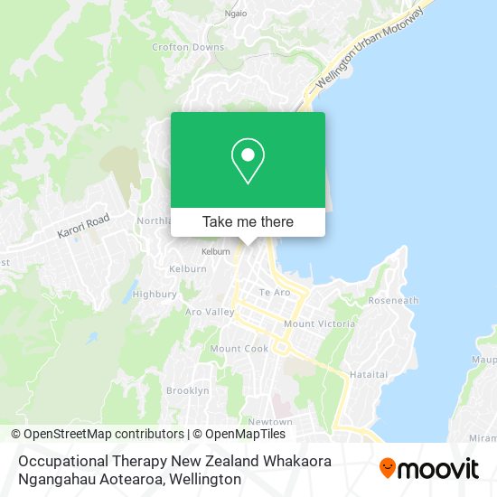 Occupational Therapy New Zealand Whakaora Ngangahau Aotearoa地图