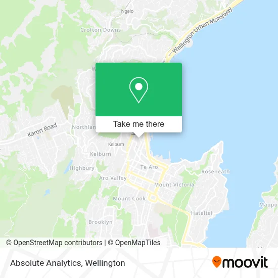 Absolute Analytics map