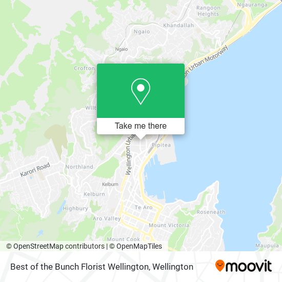 Best of the Bunch Florist Wellington地图