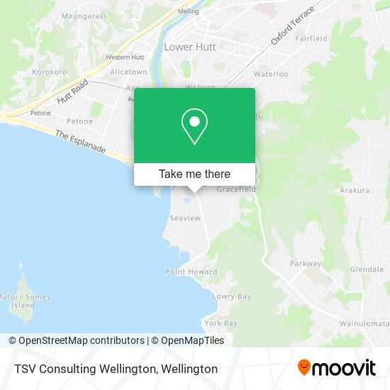 TSV Consulting Wellington map