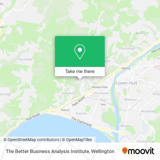 The Better Business Analysis Institute map