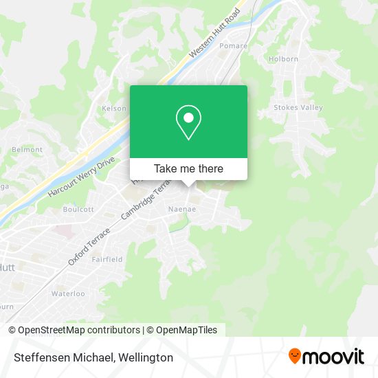 Steffensen Michael map