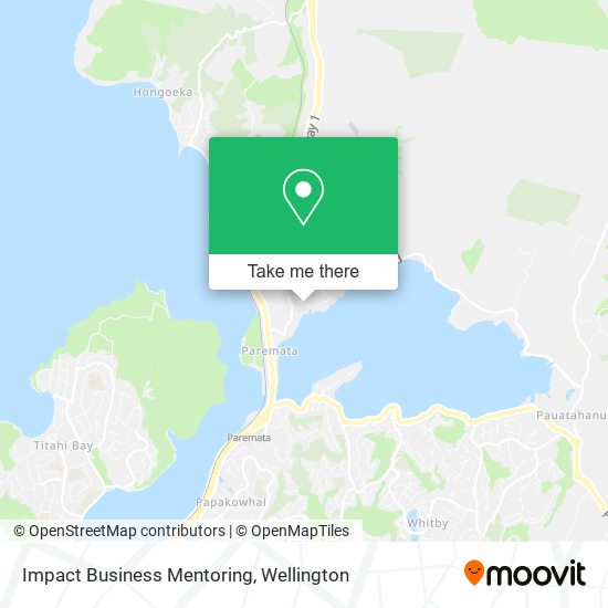 Impact Business Mentoring map