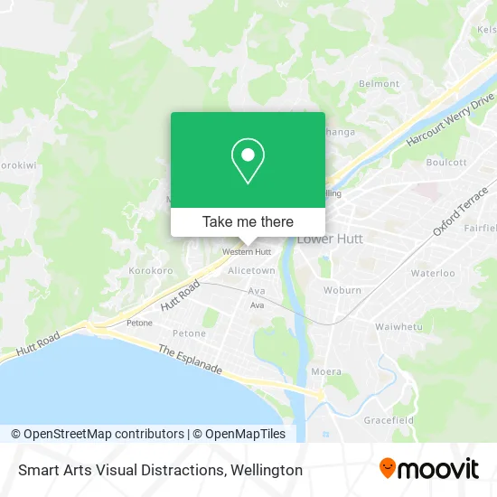 Smart Arts Visual Distractions map