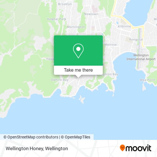 Wellington Honey地图